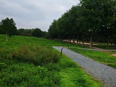 -汉长安城未央宫国家考古遗址公园