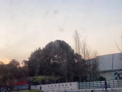 -金沙遗址博物馆