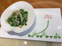 -白金汉爵大酒店·中餐厅(相城店)