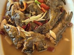 -芦茨金富饭庄·25年老字号·专做稻草鸡