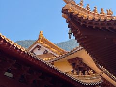 -深圳仙湖植物园