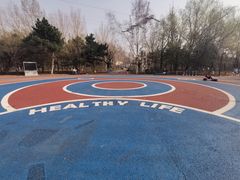 -黛秀湖公园