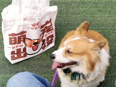-凤城·食都