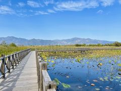 -野鸭湖国家湿地公园