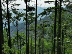 -莫干山风景区