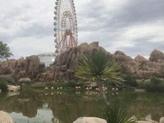 -芽庄珍珠岛游乐园
