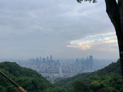 -大金鹰园