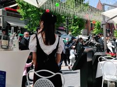 -弗拉门戈西班牙餐厅酒吧(意式风情街店)