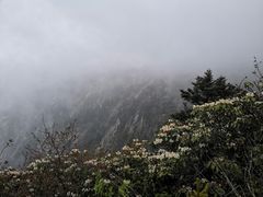 -九峰山