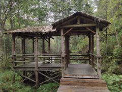 -五营红松林海景区