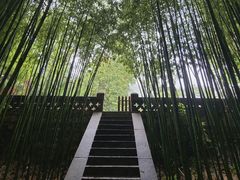-泰山风景名胜区-普照寺