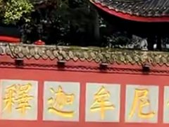 -峨眉山报国寺