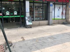 -瑞鹏·疫苗·绝育·宠物医院(金沙洲店)