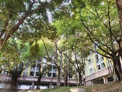 -华南师范大学(广州大学城校区)