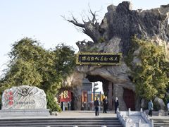 -大槐树寻根祭祖园