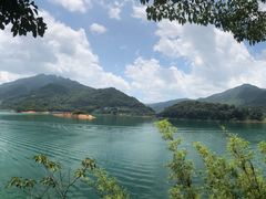-广州市流溪河国家森林公园