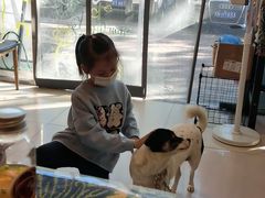 -平行世界·猫咖(首经贸店)