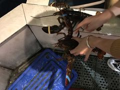 -船奇蒸汽海鲜·闽菜(八市海鲜总店)