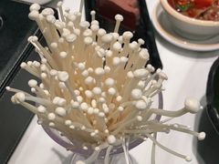 -新一哥粤菜火锅(瑞金店)
