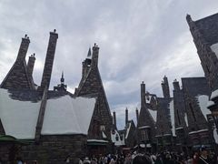 -哈利波特魔法世界