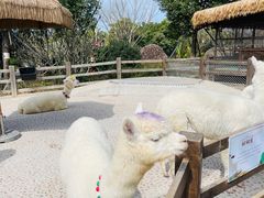 -珠海海泉湾神秘岛亲子乐园