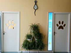 -瑞鹏宠物医院·爱宠堂·骨外专科(西荷分院)