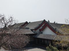 -蓬莱阁景区