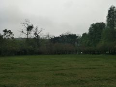 -南宁良凤江国家森林公园