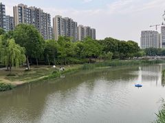 -南翔镇银翔湖公园