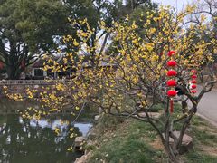 -无锡梅园公园