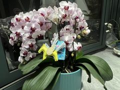 -如果·追梦手工皮具DIY教学店(田子坊店)