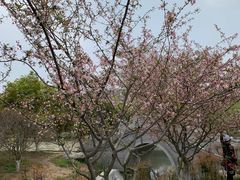 -南山风景名胜区