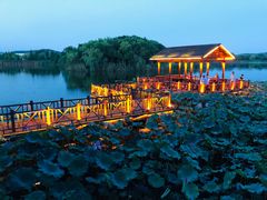 -上海市保健医疗中心