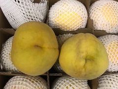 礼盒和10斤装大小对比-南汇新场正宗水蜜桃采摘