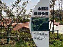 -贡湖湾湿地公园