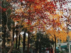 -徐家汇源景区-衡山公园