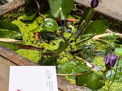 -扫雪煮茶(西村店)