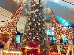 IMG_20130203_101738_副本-远洋未来广场(育慧北路店)