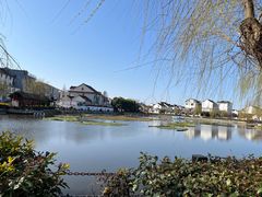 -金山嘴渔村