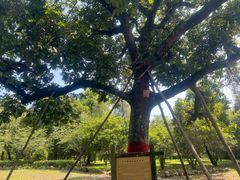 -福建鲤鱼洲酒店