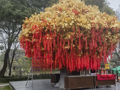 -狼山风景名胜区