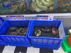 水产区-旅南活海鲜-屏东(墾丁海鮮，海鮮餐廳，墾丁團體合菜，平價熱炒，墾丁熱炒店，活海鮮推薦，在地海鮮餐廳)