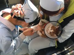-美联众合动物医院·内科·皮肤科·外科(古城分院)