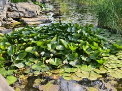 -济南国际园博园