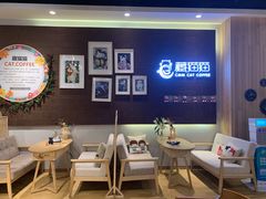 大堂-藏猫猫咖啡主题馆(中央大道店)