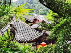-缙云山景区
