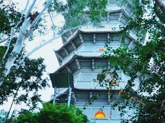 -深圳国际园林花卉博览园