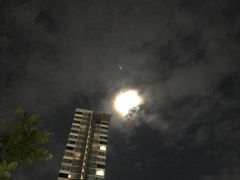 -芭提雅Amporn Seafood自助餐厅