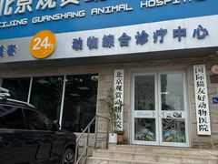 -北京观赏动物医院·24小时大型综合·猫专科·异宠专科