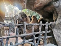 -长鹿旅游休博园